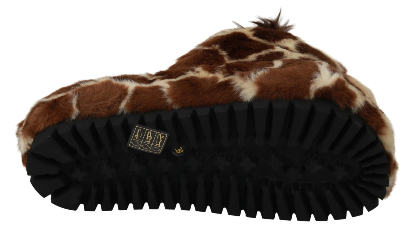 Chaussons Dolce & Gabbana marron girafe, sandales plates, chaussures