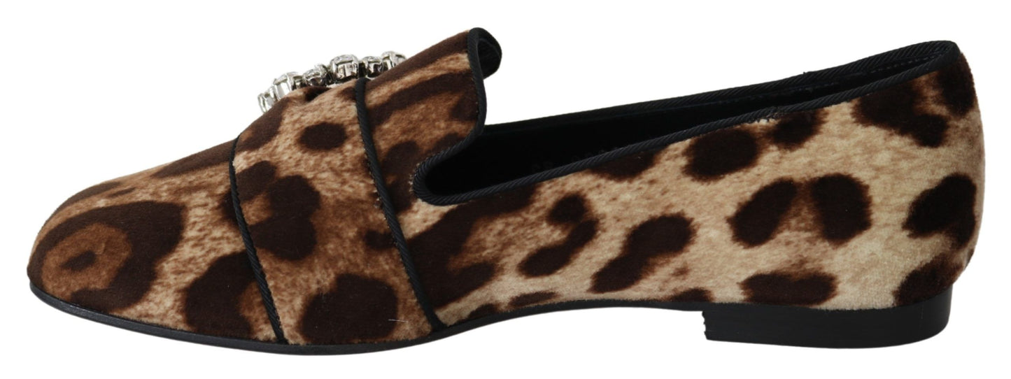 Mocassins plats Dolce & Gabbana à imprimé léopard marron et cristaux