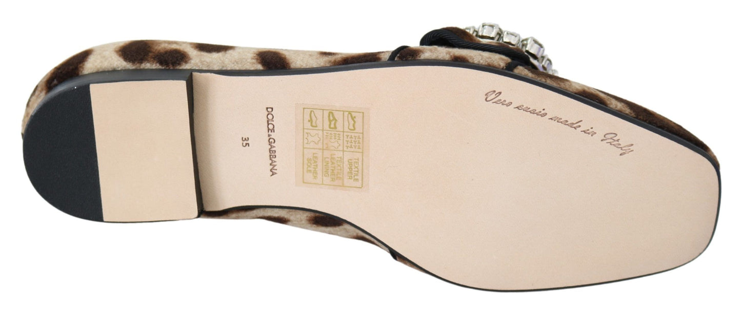 Mocassins plats Dolce & Gabbana à imprimé léopard marron et cristaux