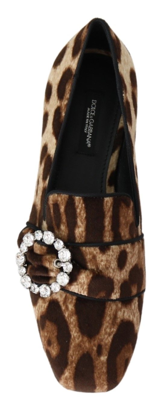Mocassins plats Dolce & Gabbana à imprimé léopard marron et cristaux