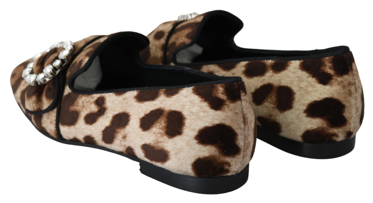 Mocassins plats Dolce & Gabbana à imprimé léopard marron et cristaux