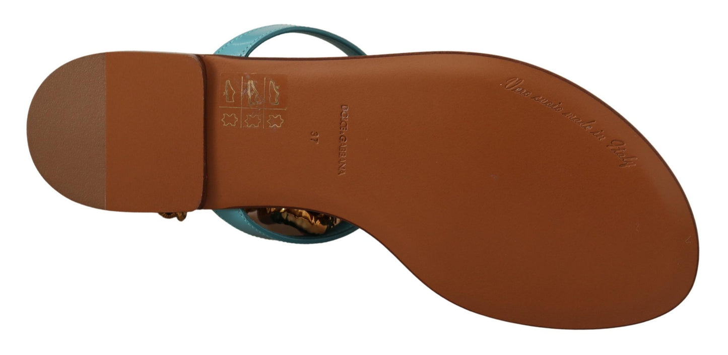 Sandales plates Dolce & Gabbana en cuir bleu Devotion