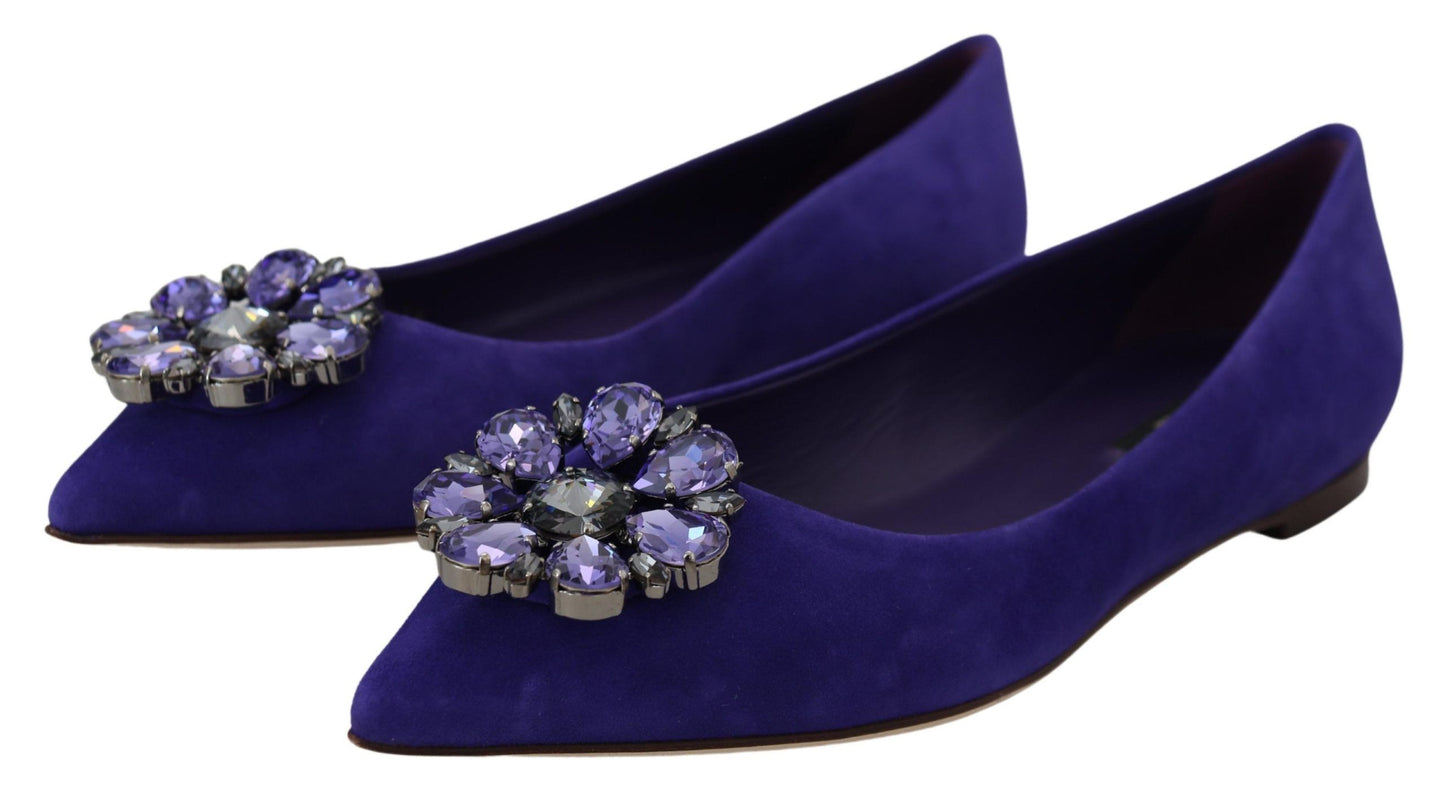 Mocassins plats Dolce & Gabbana en daim violet avec cristaux