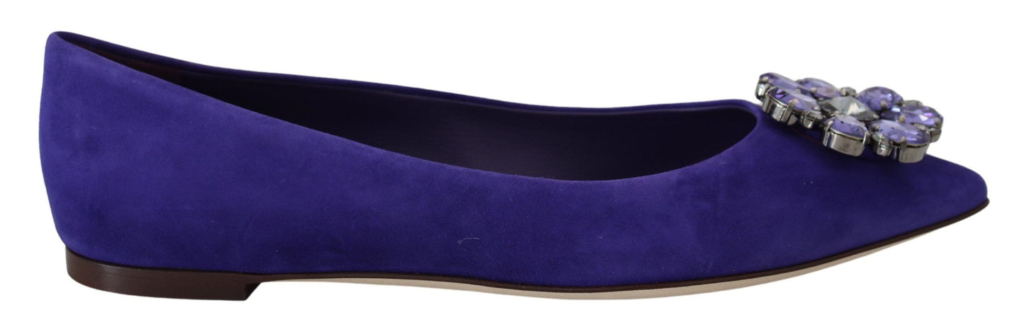 Mocassins plats Dolce & Gabbana en daim violet avec cristaux