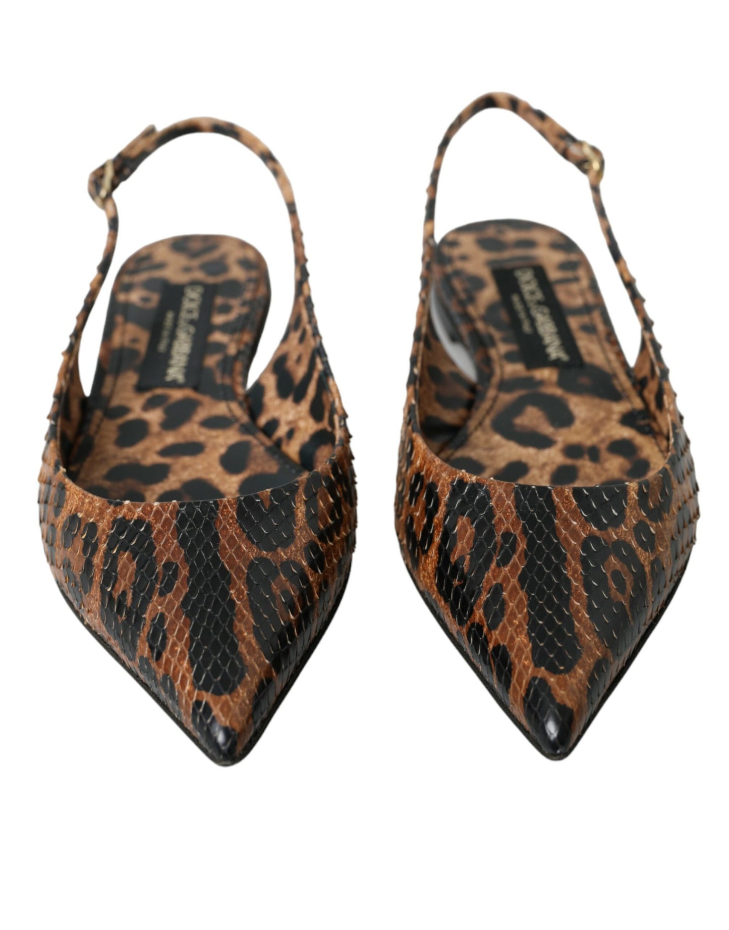Chaussures à bride arrière en peau exotique léopard marron Dolce & Gabbana