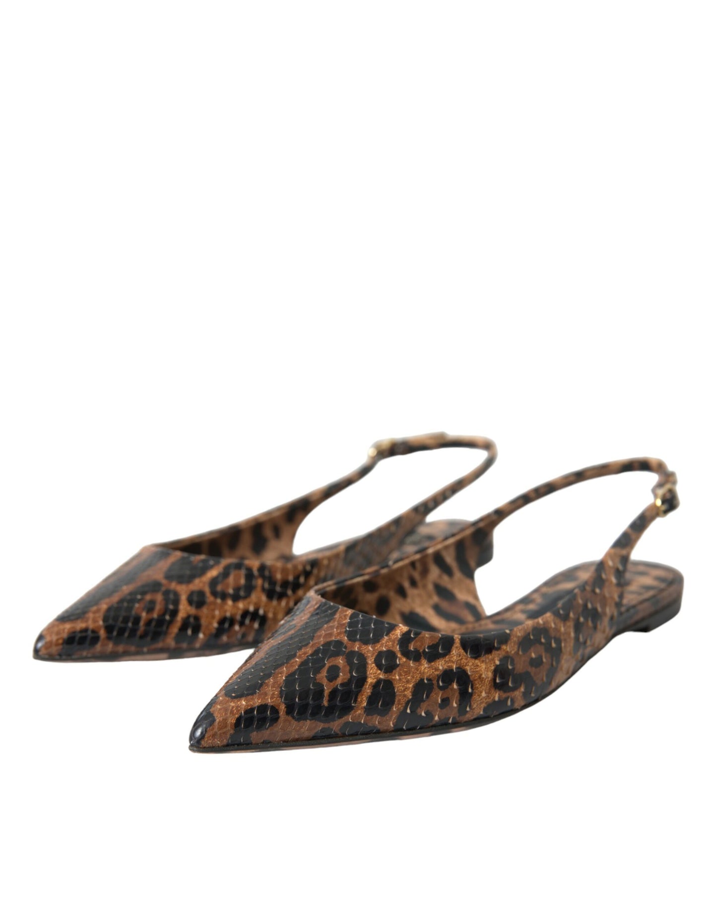 Chaussures à bride arrière en peau exotique léopard marron Dolce & Gabbana