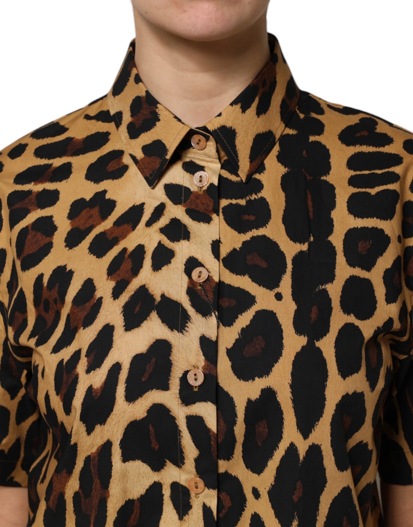 Polo à manches courtes et col léopard marron Dolce & Gabbana