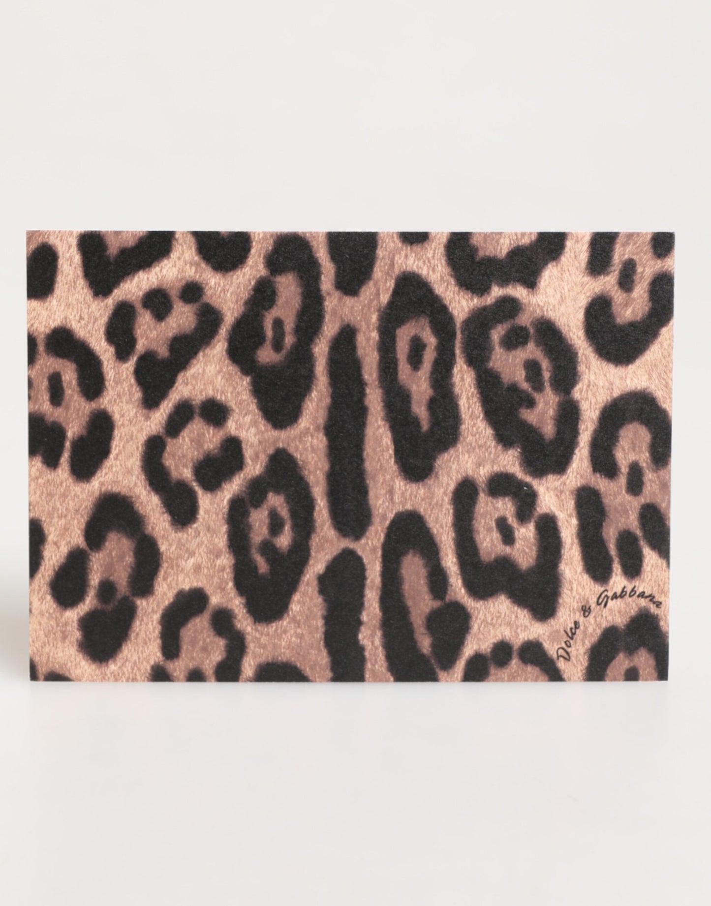 Dolce & Gabbana Multicolor Leopard Print Envelope Paper Post Card Holder