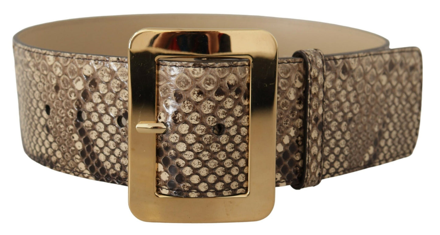 Ceinture large en cuir exotique marron Dolce &amp; Gabbana avec boucle en métal doré