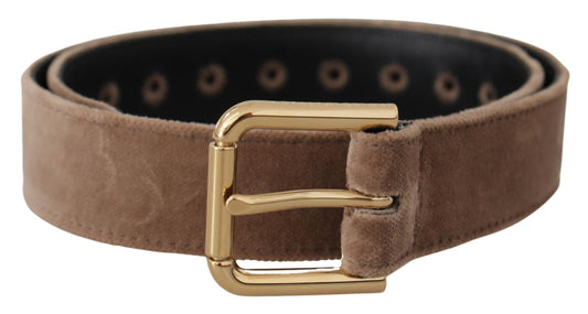Ceinture Dolce &amp; Gabbana en velours marron clair avec boucle en métal et logo doré