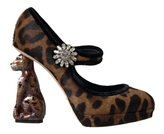 Escarpins Mary Jane à talons léopard en cuir de veau noir et marron Dolce &amp; Gabbana