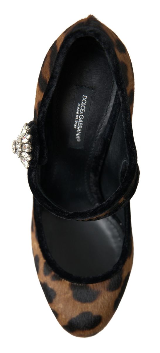 Escarpins Mary Jane à talons léopard en cuir de veau noir et marron Dolce &amp; Gabbana