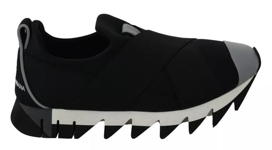 Baskets extensibles en néoprène Black Shark de Dolce &amp; Gabbana