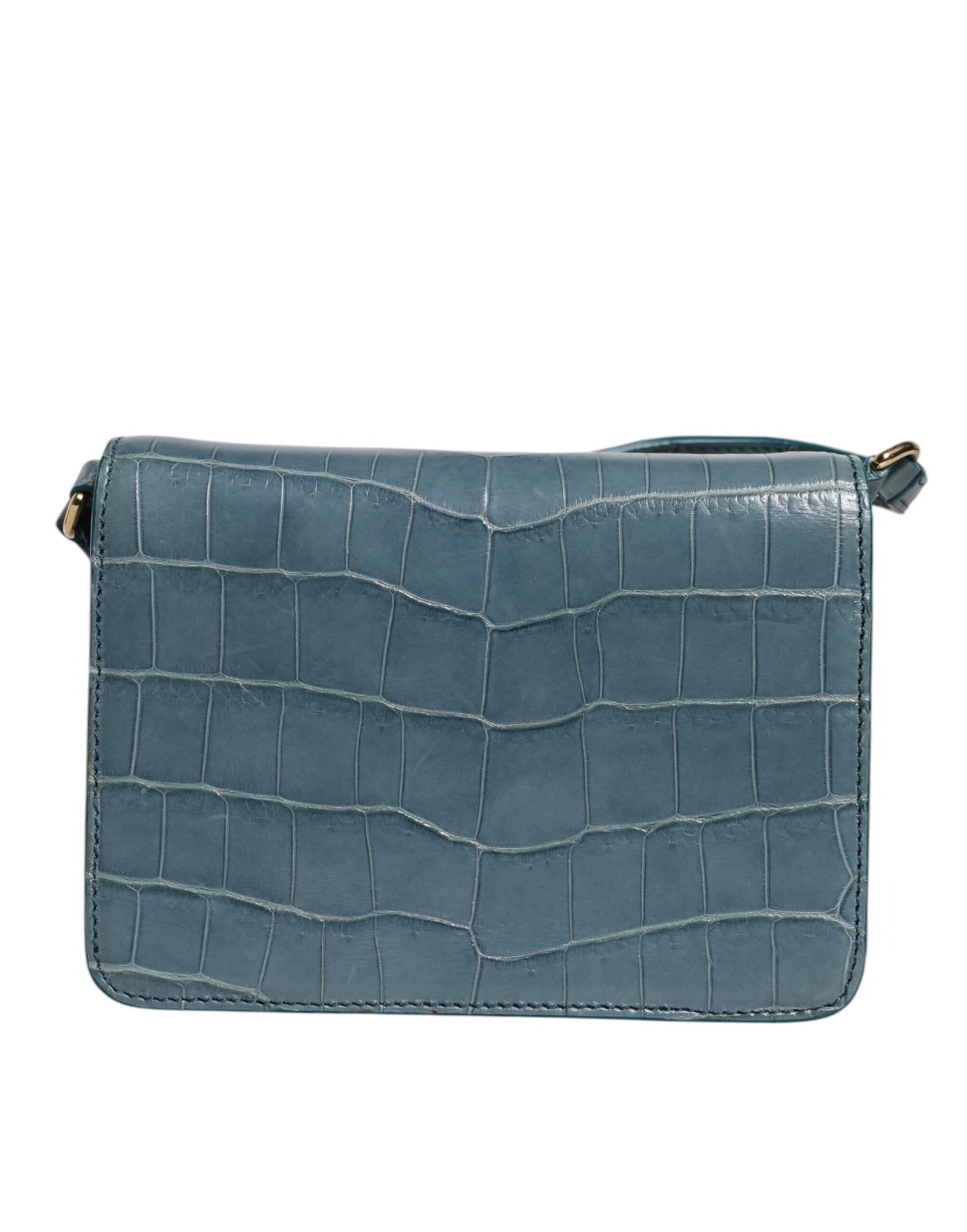 Mini sac bandoulière Dolce &amp; Gabbana en cuir exotique vert DG Plaque