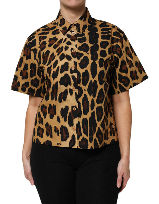 Polo à manches courtes et col léopard marron Dolce &amp; Gabbana